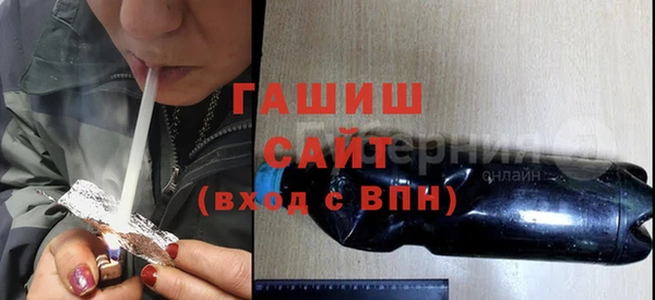 гашик Алексин