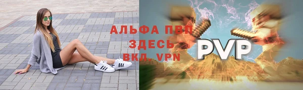 гашик Алексин