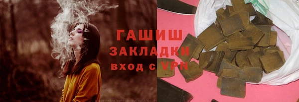 гашик Алексин