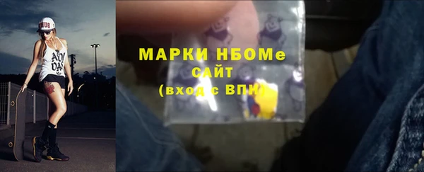 гашик Алексин