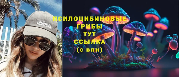 гашик Алексин