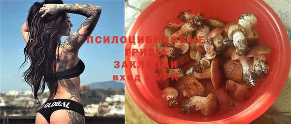 не бодяженный Алзамай