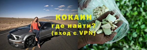 гашик Алексин