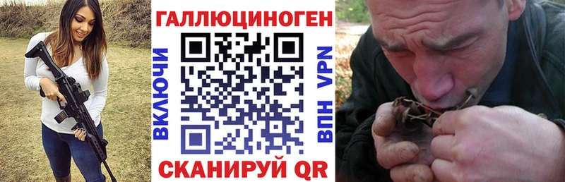 Псилоцибиновые грибы Cubensis  нарко площадка клад  Краснообск 